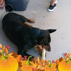 Meet your Posher, Patricia